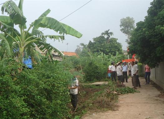 Hội Nông dân xã Hải Xuân tham gia phòng chống dịch sốt xuất huyết.